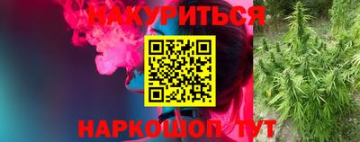 ГАЛЛЮЦИНОГЕННЫЕ ГРИБЫ Берёзовский