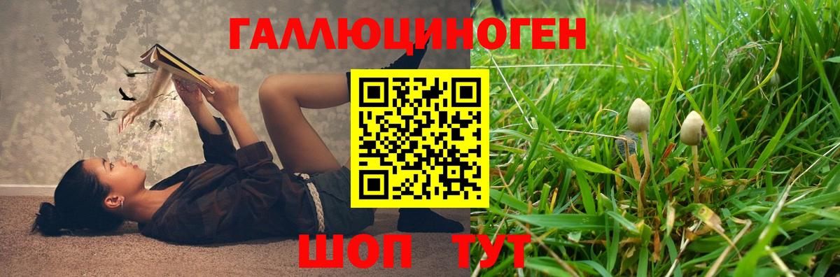 Псилоцибиновые грибы MAGIC MUSHROOMS  Вход с VPN  Псилоцибиновые грибы мухоморы  где купить наркоту  Зеленокумск 